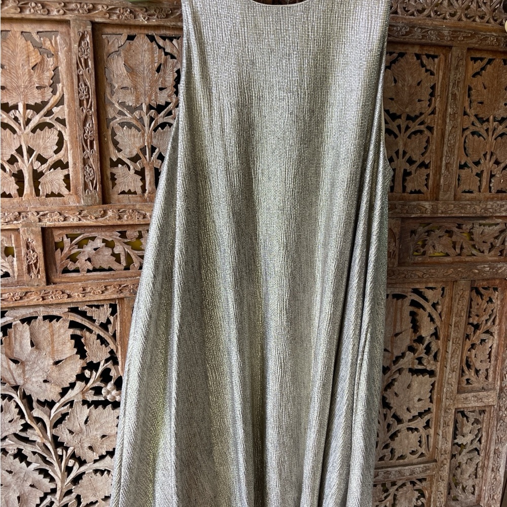 Elegant Silver Mini Dress
